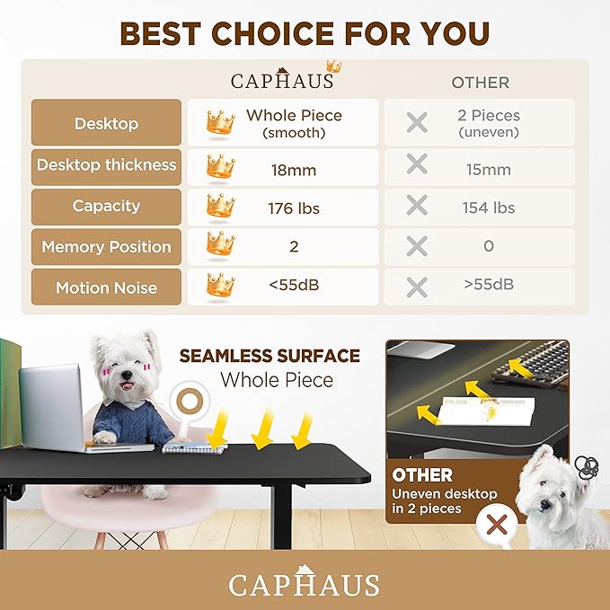 CAPHAUS 48 x 24 Inches Whole-Piece Deskboard Electric Standing Computer Desk Home Office Height Adjustable Desk with Memory Control Panel Black Metal Frame &amp P2 Grade Black Desktop Single Motor