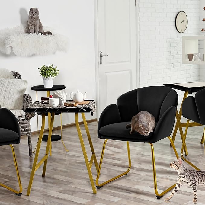 Yaheetech Velvet Living Room Chair Flower Shaped Armchair with Golden Legs Upholstered Side Chair for Vanity Room Living Room Kitchen Dining Room Set of 2 Black
