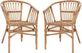 Safavieh Home Adriana Coastal Honey Brown Wash Rattan (Set of 2) Accent Chair (ACH6505C-SET2)
