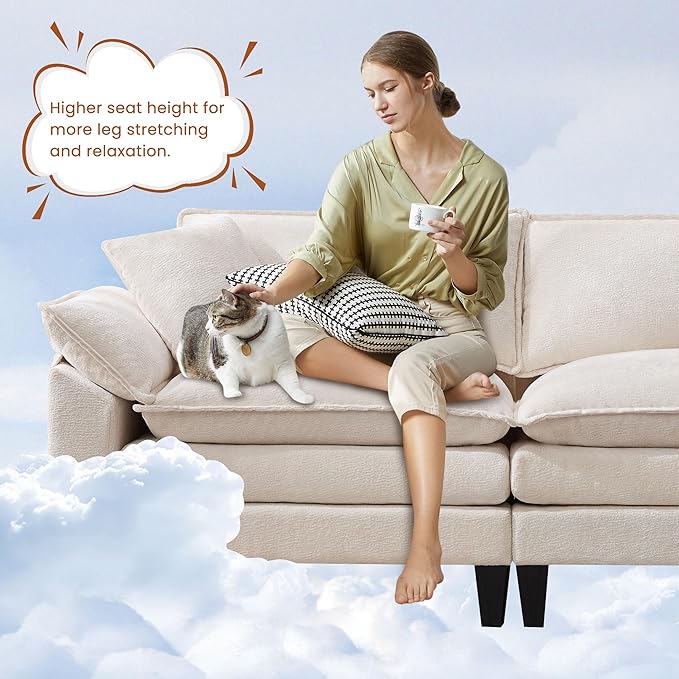 83 Loveseat SofaCloud Couch for Living RoomComfy Love Seat with Double Cushion2 PillowsRemovable Cover for Bedroom Apartment and Office