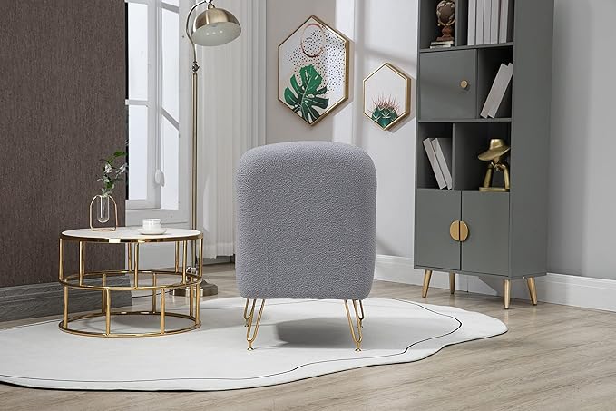 Accent Chair for Living Room