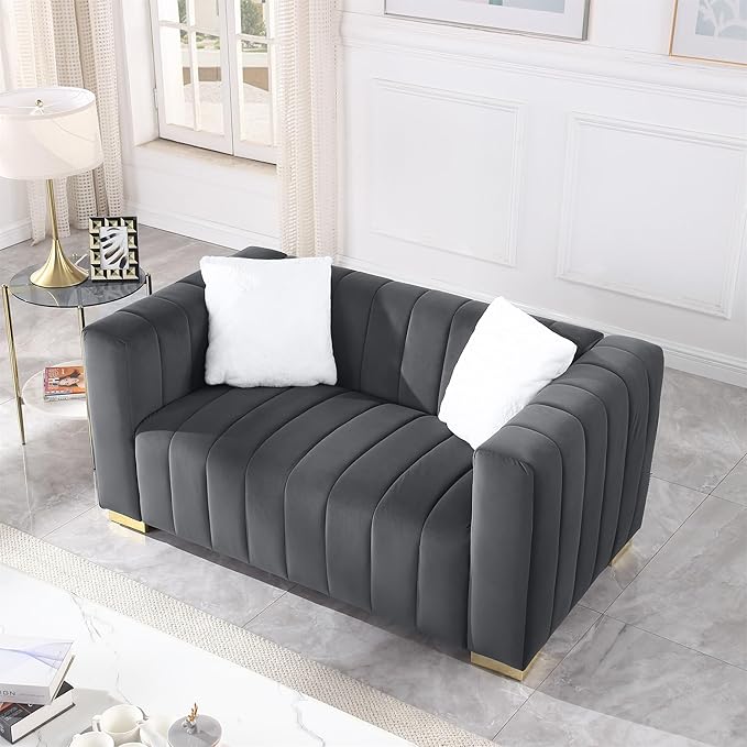 63'' Modern Premium Velvet 2-Seater Couch/Loveseat Sofa with Metal Base Legs and 2 Pillows for Living Room/Bedroom