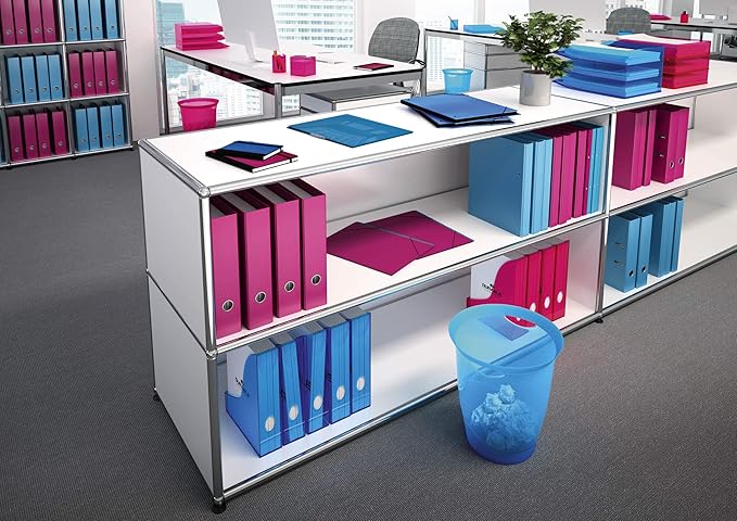 Durable 1701712540 Magazine File Basic 6 Pieces Blue Transparent