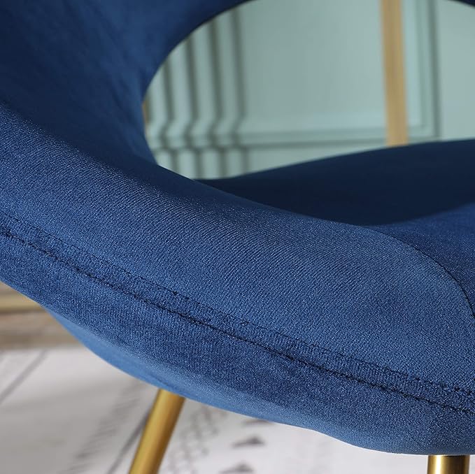 Roundhill Furniture Slatina Silky Velvet Upholstered Accent Chair with Gold Tone Finished Base Blue