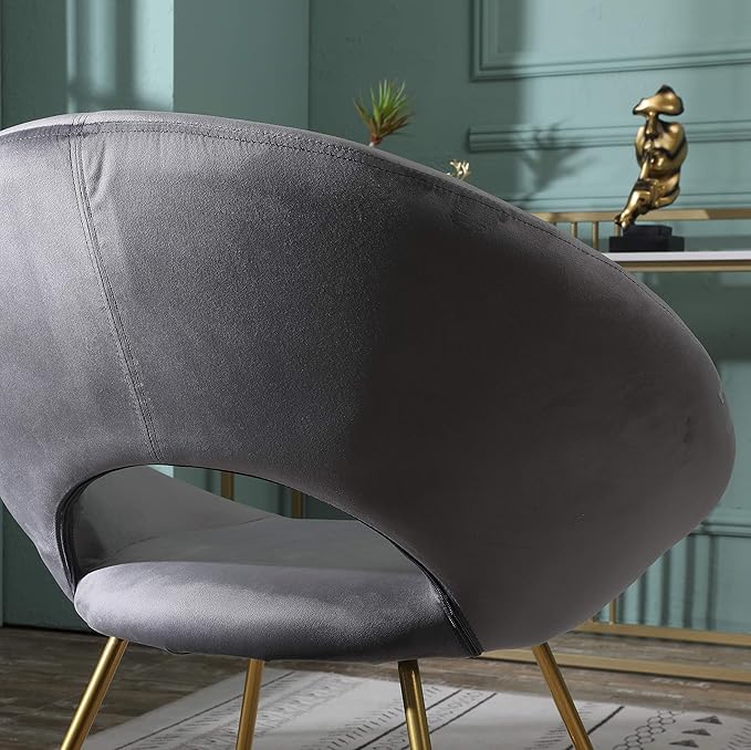 Roundhill Furniture Slatina Silky Velvet Upholstered Accent Chair with Gold Tone Finished Base Gray