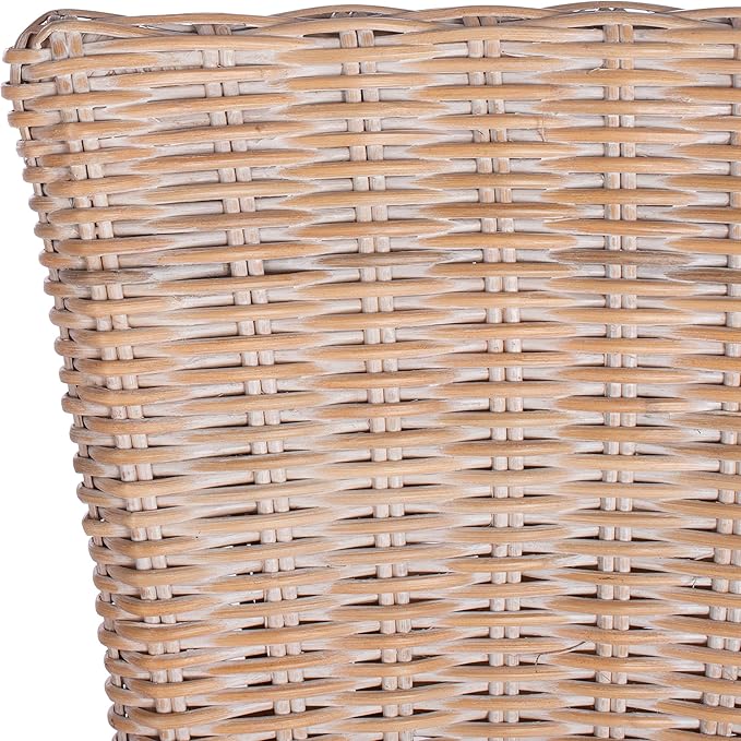 SAFAVIEH Home Allen Coastal Natural White Wash Rattan Accent Chair (Set of 2)