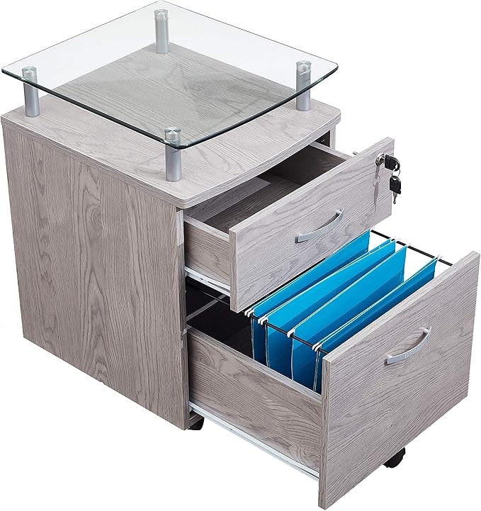 2 Drawer Small File Cabinet with Lock Under Desk Locking Storage Drawers Organizer for Home Filing CabinetsOffice FurnitureGray