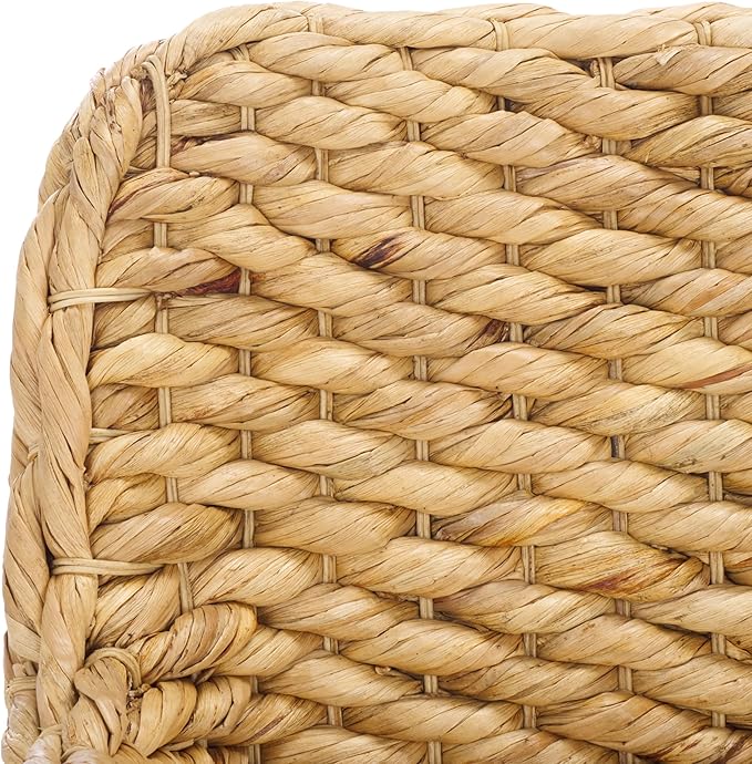 SAFAVIEH Home Collection Purrl Tropical Coastal Natural Solid Wood Hyacinth Accent Chair with Cushion (Fully Assembled)