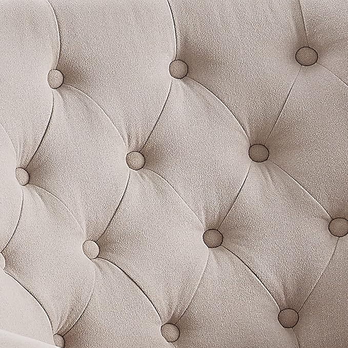 Rosevara Atlas Accent Chairs for Living Room Furniture Living Room Chairs Reading Chair for Room Arm Chairs for Living Room Comfy Chair for Bedroom Small Accent Chairs for Bedroom Velvet Light Cream