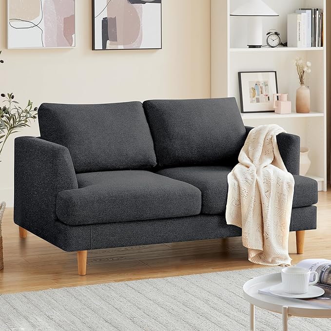 Loveseat Sofa 56 Mid Century Modern Small Couches for Small Spaces Love Seat with 2-Seat Upholstered Cushion Sofa Couches for Bedroom Living Room Apartment (Dark Grey)