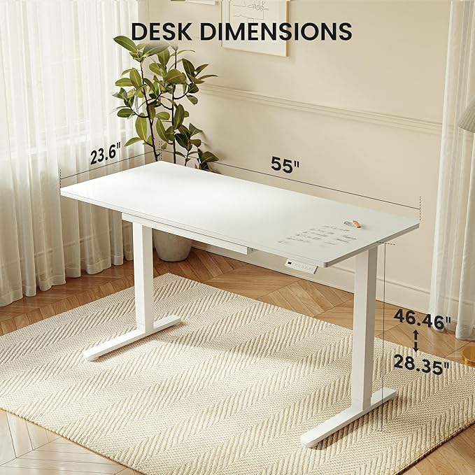 FEZIBO 55x24 inchs Electric Standing Desk - One-Piece Glass Top Height Adjustable Workstation with 4 Memory Presets Ergonomic Sit-to-Stand Table for Home Office &amp Gaming