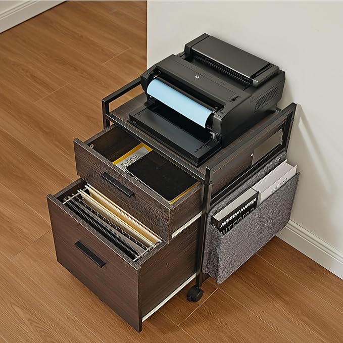 EUREKA ERGONOMIC 2-Drawer Mobile File Cabinet with Wheels Solid Wood Rolling Storage Cabinet for Home Office Space-Saving Under Desk Organization with Printer Stand Black