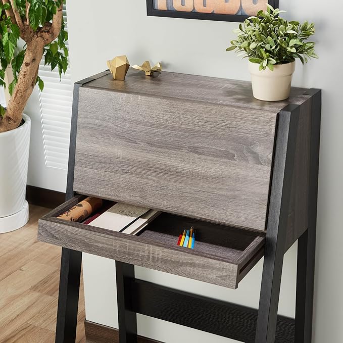Furniture of America Thelos Drop-Down Surface Cabinet Storage Computer Desk Modern Simple Style Desk for Home Office Study Student Writing Desk