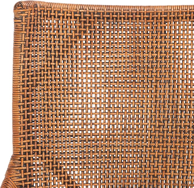 SAFAVIEH Home Collection Donatella Tropical Coastal Honey &amp White Rattan Chair