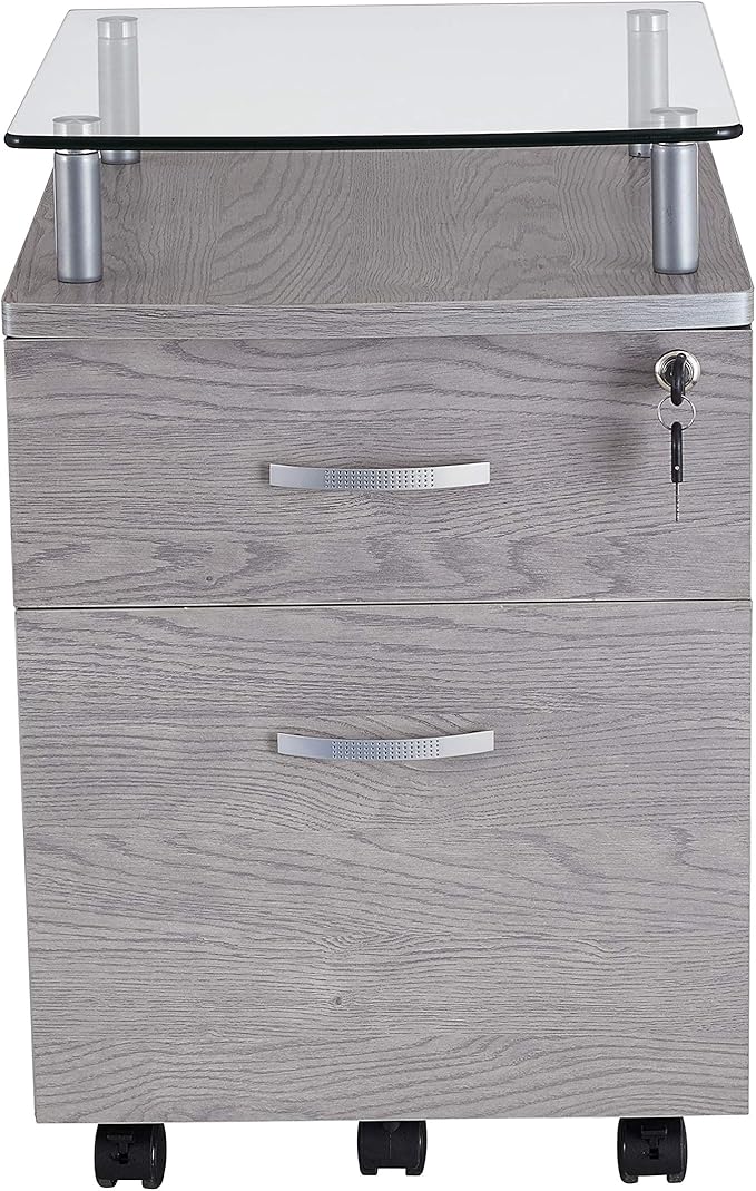 2 Drawer Small File Cabinet with Lock Under Desk Locking Storage Drawers Organizer for Home Filing CabinetsOffice FurnitureGray
