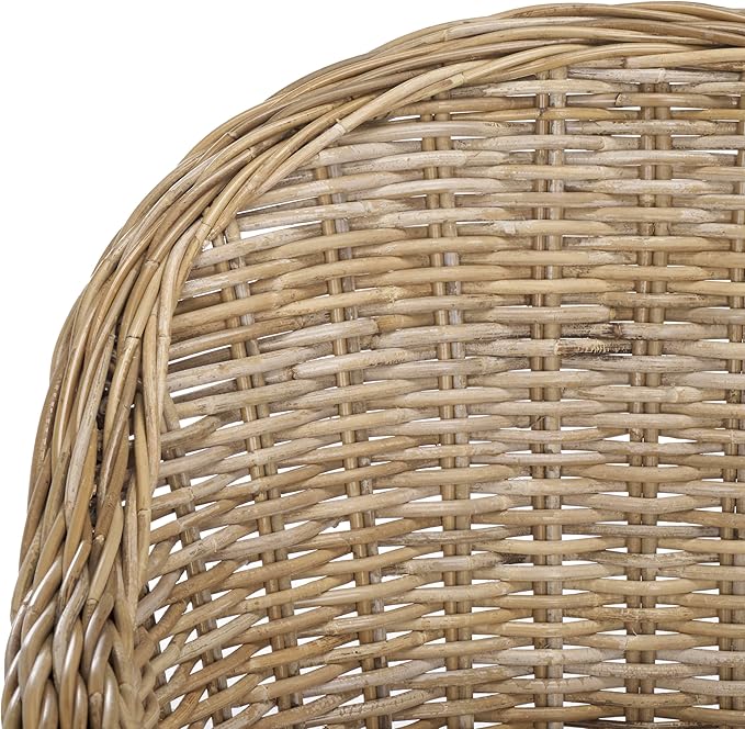 Safavieh Home Collection Zane Natural Wicker Club Chair Standard