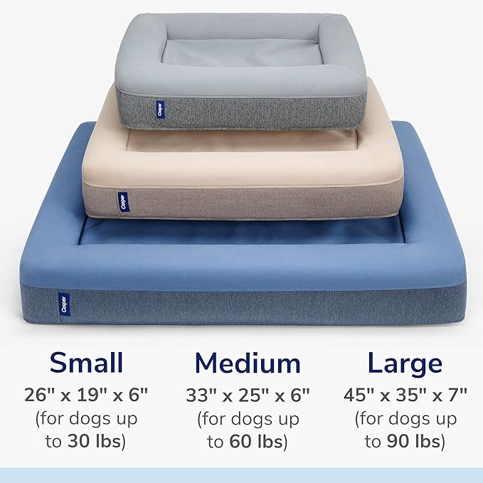 Casper Dog Bed Plush Memory Foam Medium Eucalyptus