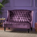 Modern Tufted Velvet Loveseat 2 Seat Couch Sofas with High Back Thick Padded Cushioned Seats for Living Room Victorian Style Raisin