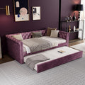 Merax Twin Size Upholstered Daybed with Trundle Modern Velvet Sofa Bed with Tufted Button Design and Curved Armrests for Living Room Bedroom and Guest Room No Box Spring Needed Purple