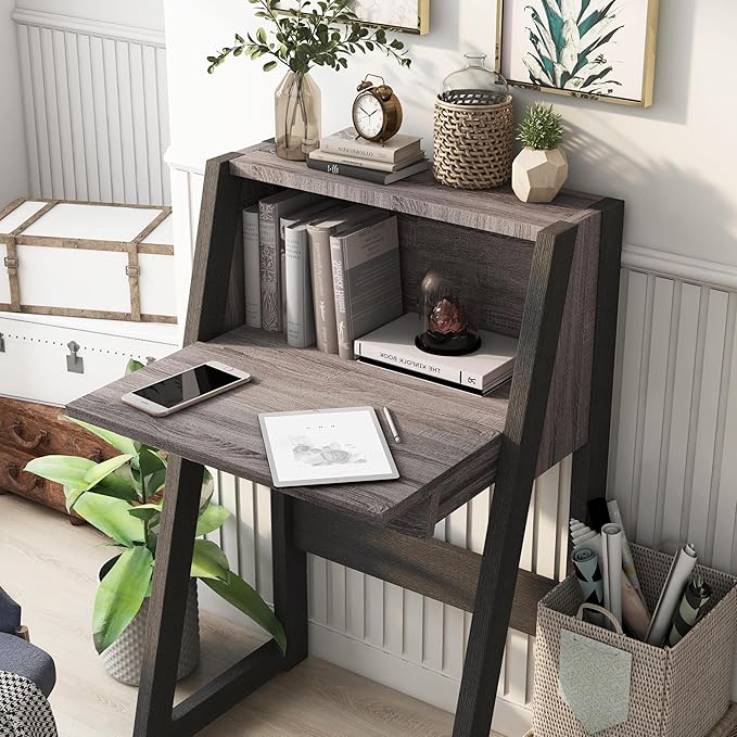 Furniture of America Thelos Drop-Down Surface Cabinet Storage Computer Desk Modern Simple Style Desk for Home Office Study Student Writing Desk