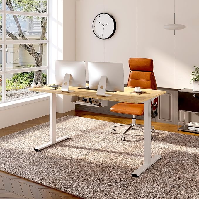 FLEXISPOT EN2 Whole-Piece Bamboo Standing Desk Clamp Power Strip 55 x 28 Electric Stand Up Height Adjustable Desk with Cable Management (Grey Frame + 55 Bamboo Top 2 Packages)