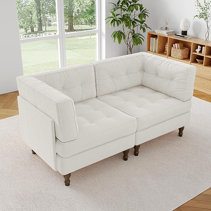 Loveseat Sofa 65 Upholstered Cloud Sofa Bed with Deep Seat for Living Room Bedroom and Apartment Comfy Fluffy Sleeper Sofa