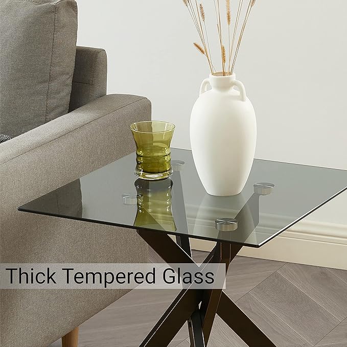 Edwin's Choice Black Square Glass Side &amp End Table with Grey Tempered Glass Top and Black Metal Tubular Legs with Gold Rim 20”Dx20”Wx22”H