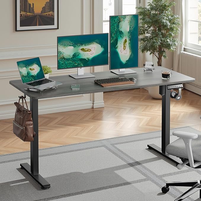Casaphoria 55 x 24 inches Electric Standing Desk Sit to Stand Desk with Memory Height Adjustment Home Office Computer Desk for Writing and Games Grey