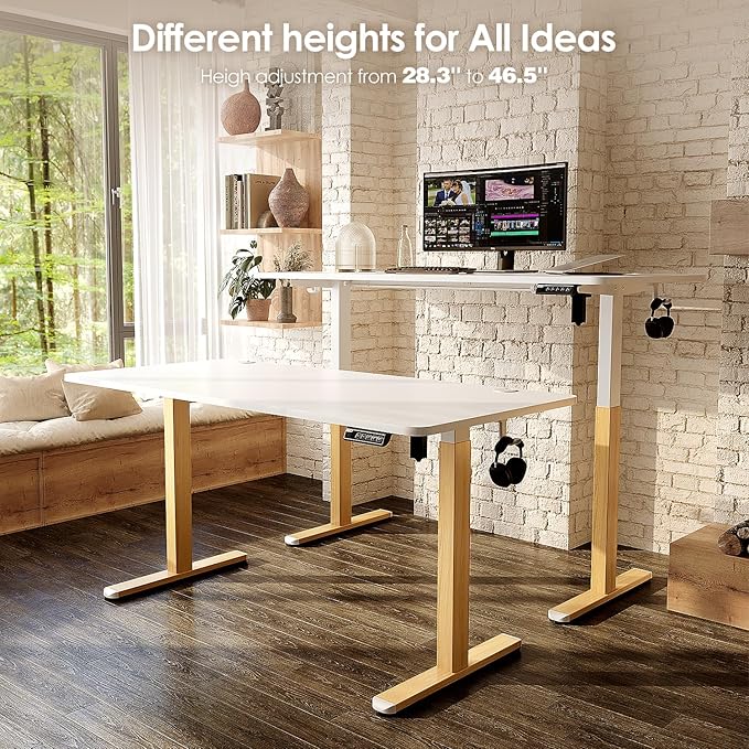 Monomi Electric Standing Desk 55'' Height Adjustable Ergonomic Home Office Sit Stand Up Desk with Memory Preset Controller White