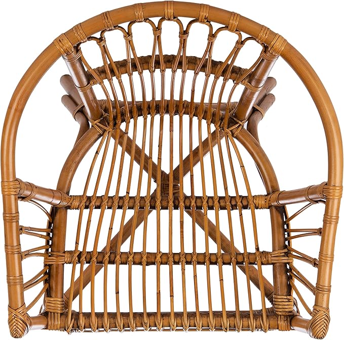 Safavieh Home Adriana Coastal Honey Brown Wash Rattan (Set of 2) Accent Chair (ACH6505C-SET2)