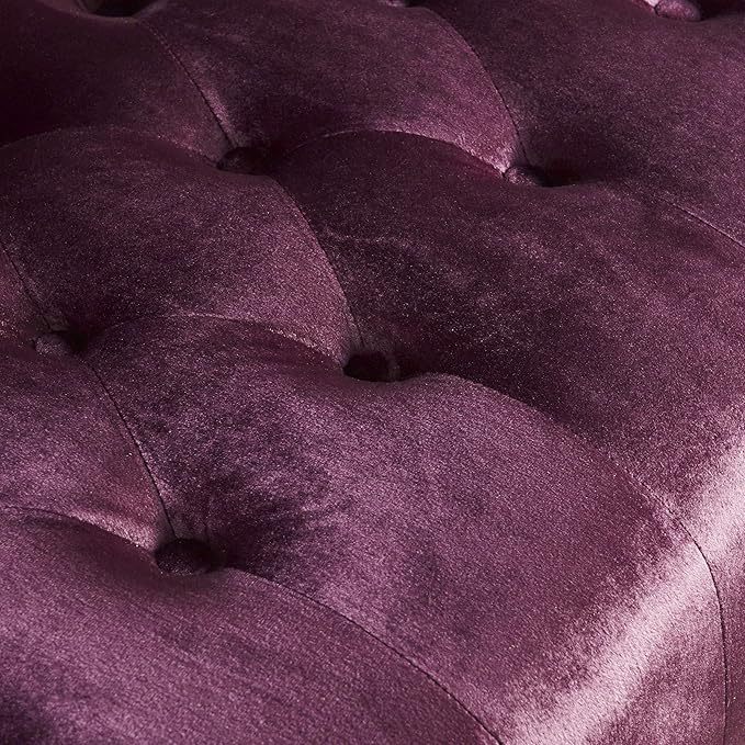 Small Velvet Loveseat Sofa Settee 50.25-inch 2 Seat Modern Victorian Sofas Couch with Buttoned Tufted Wingback Upholstered Banquette Dining Bench for Dining Living Room Hallway(Raisin Purple)