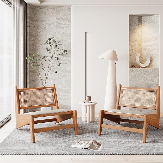 HAOBO Home Rattan Chair Mid Century Modern Accent Chair Living Room Chair Boho Chairs with Wooden Frame for Home Bedroom Set of 2