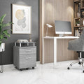 2 Drawer Small File Cabinet with Lock Under Desk Locking Storage Drawers Organizer for Home Filing CabinetsOffice FurnitureGray
