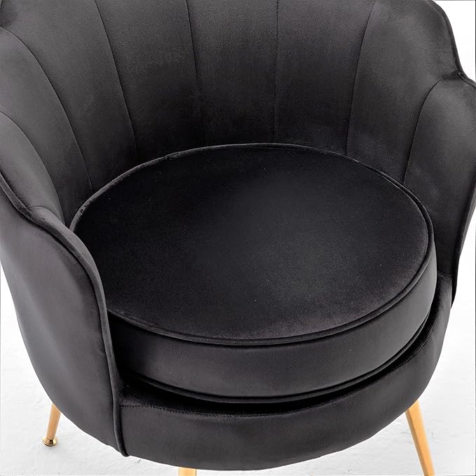 Velvet Barrel Accent Chair with Scalloped Silhouette and Gold Metal Legs Decorative Piece Suitable for Traditional Modern and Contemporary Spaces Black