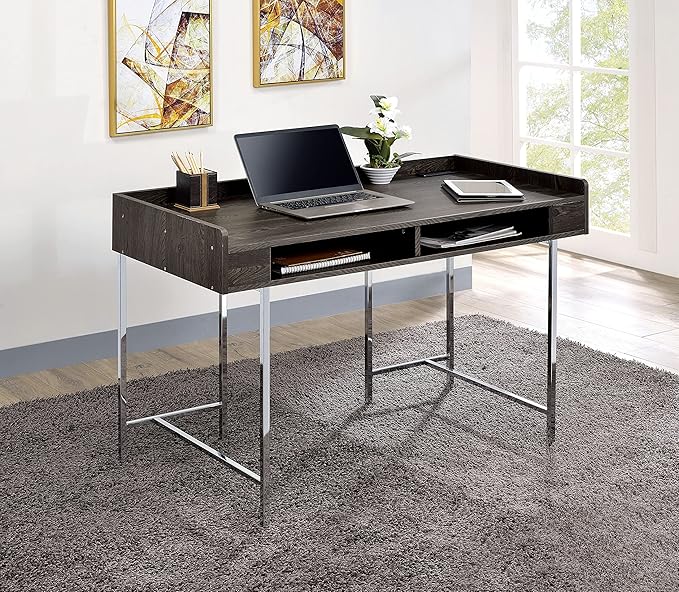 HOMES: Inside + Out Bratenahl Modern Metal 48 in. Writing Desk with USB Port Electrical Outlet for Home Office Brown and Chrome