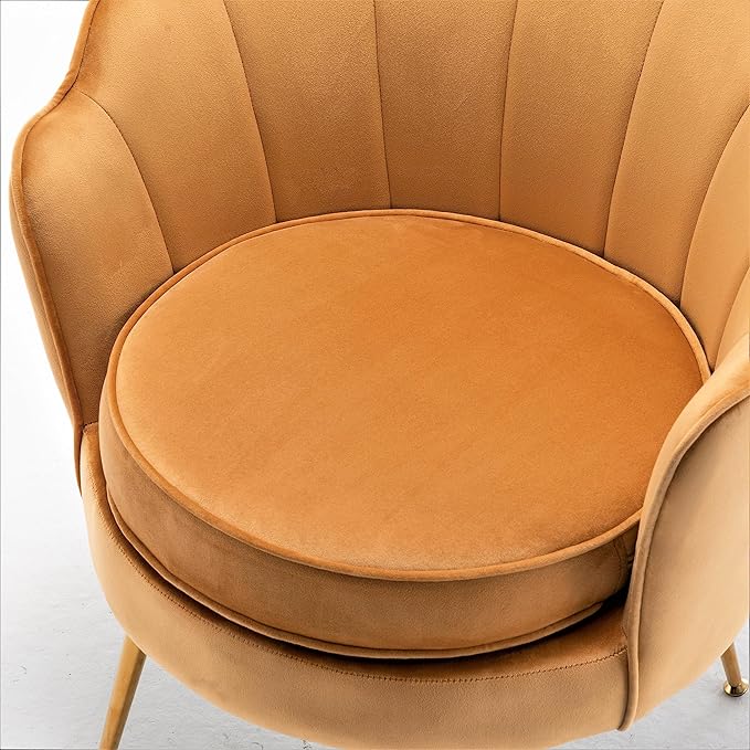 Velvet Barrel Accent Chair with Scalloped Silhouette and Gold Metal Legs Decorative Piece Suitable for Traditional Modern and Contemporary Spaces Mustard Yellow