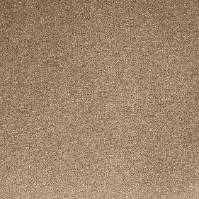 Meridian Furniture 699Beige-C Alder Collection Modern | Contemporary Chair with Ultra Luxe Beige Velvet 460 GSM Velvet Solid Wood Frame 38 W x 36 D x 30 H Beige